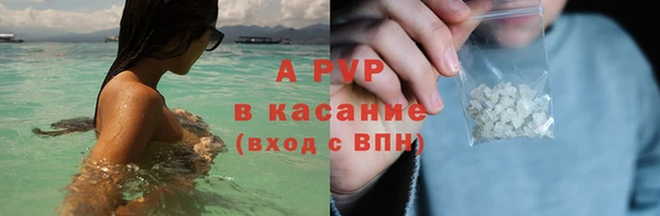 винт Новозыбков
