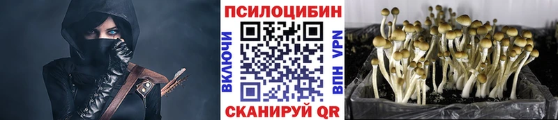 blacksprut ссылка  Гаврилов Посад  маркетплейс наркотические препараты  Галлюциногенные грибы Psilocybine cubensis 